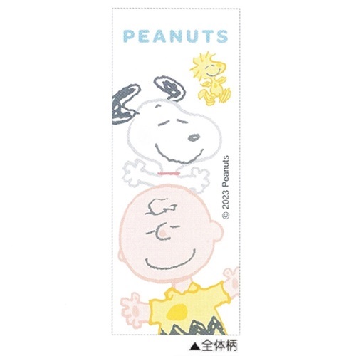 現貨｜Snoopy 史努比 Charlie Brown 日本製 0.5mm 鉛芯筆 (CR116368)