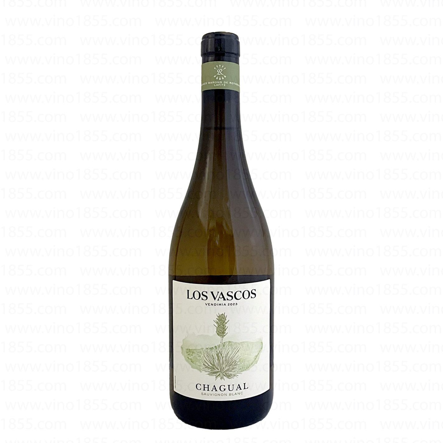Los Vascos Chagual Sauvignon Blanc 2023