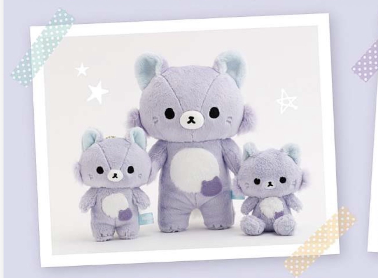 鬆弛熊紫熊預訂