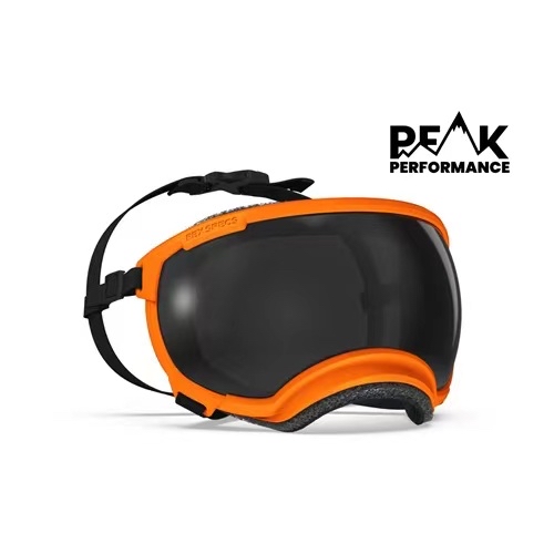 美國 REX SPECS V2 犬用護目鏡
