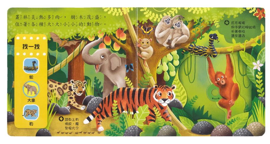 上人 First Explorers 探索系列: 好棒的叢林動物