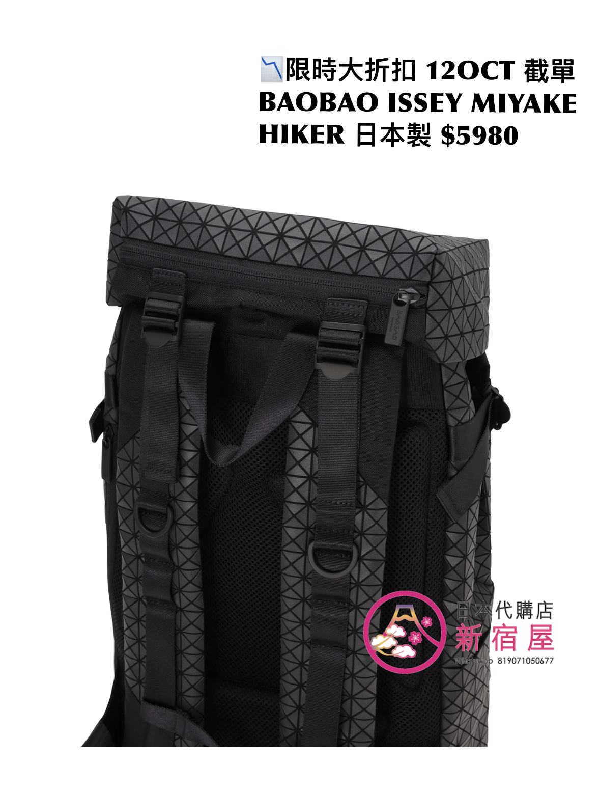 BAOBAO ISSEY MIYAKE HIKER