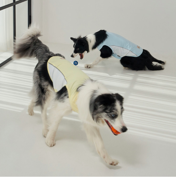 *SuperPet🇰🇷狗狗涼感機能背心