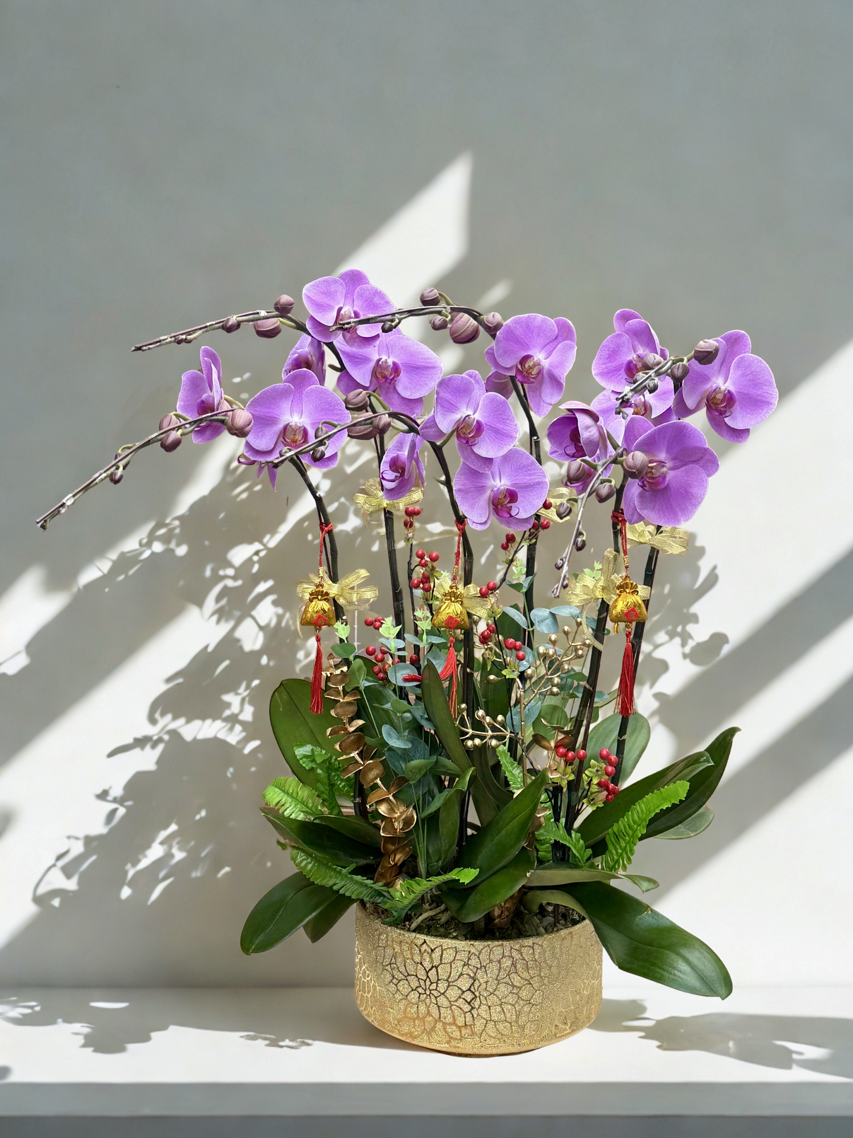 粉色報喜_粉冠軍((3/4/5/6/8/10/12/18))菖_OR213