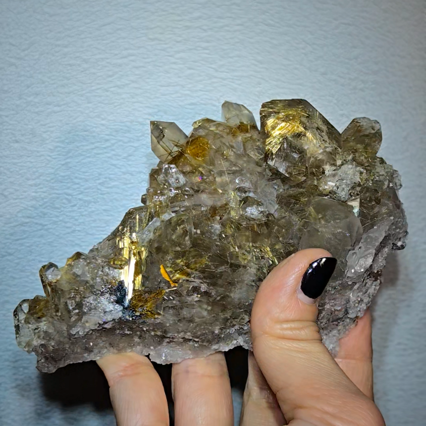 High-grade golden starburst rutiles on black hematite in quartz - RT1434