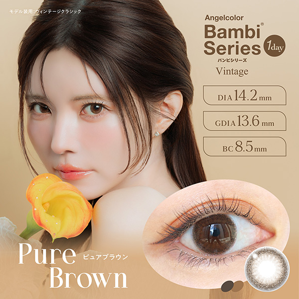 AngelColor Bambi Series - Pure Brown (1day/10P)