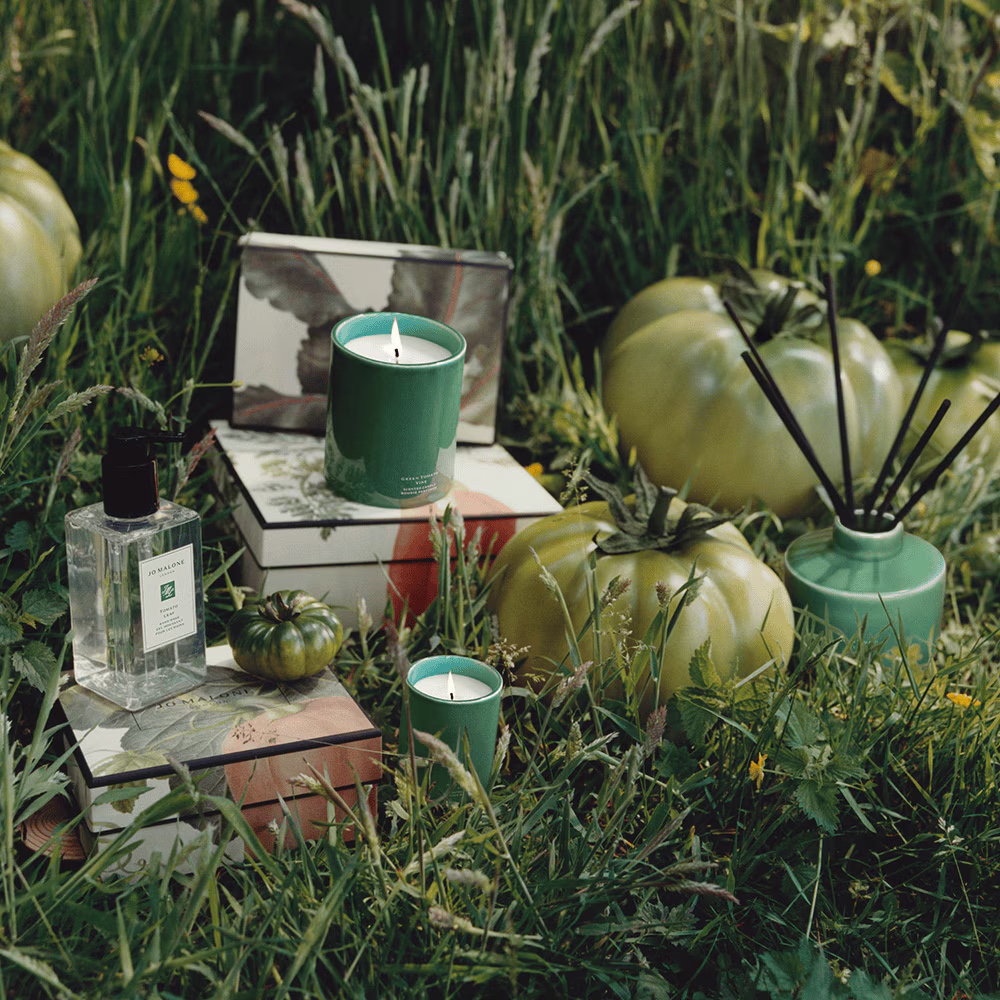 JO MALONE Green Tomato Vine Townhouse Diffuser - Veggies Edition 蕃茄藤蔓工藝藤枝擴香組 350ml (英倫蔬果園限定版)