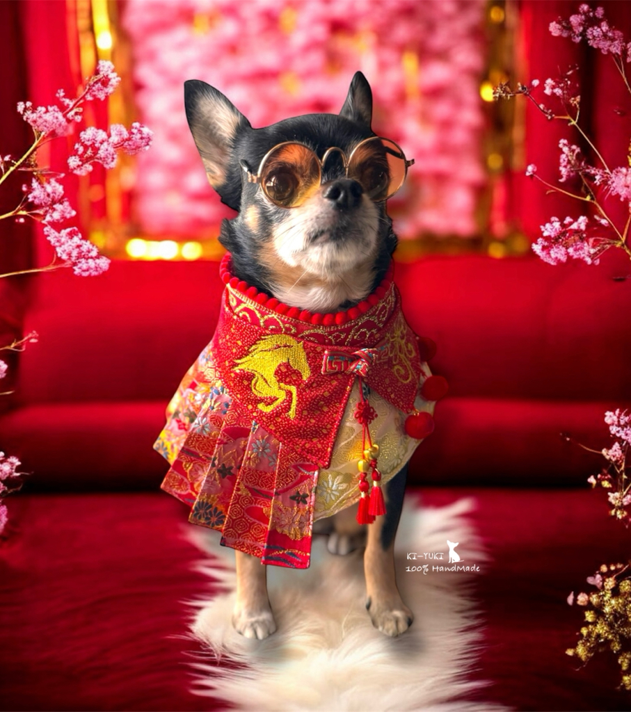 馬年賀歲新品 毛孩新春圍脖 頸飾 造型