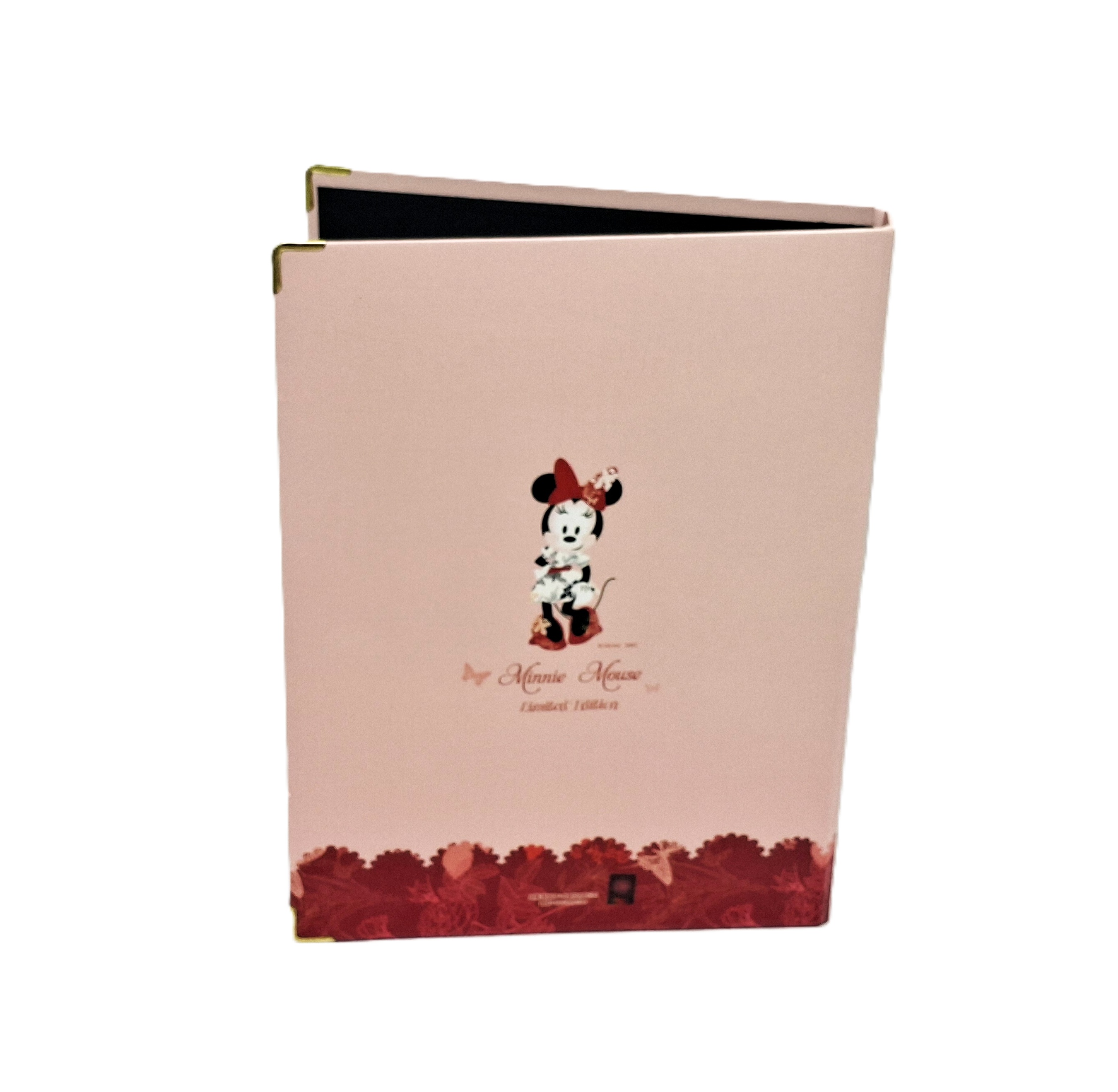 20入 A4 資料本 Minnie Mouse (DPAA-254B)