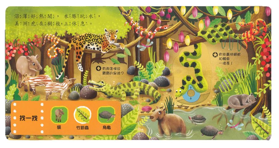 上人 First Explorers 探索系列: 好棒的叢林動物