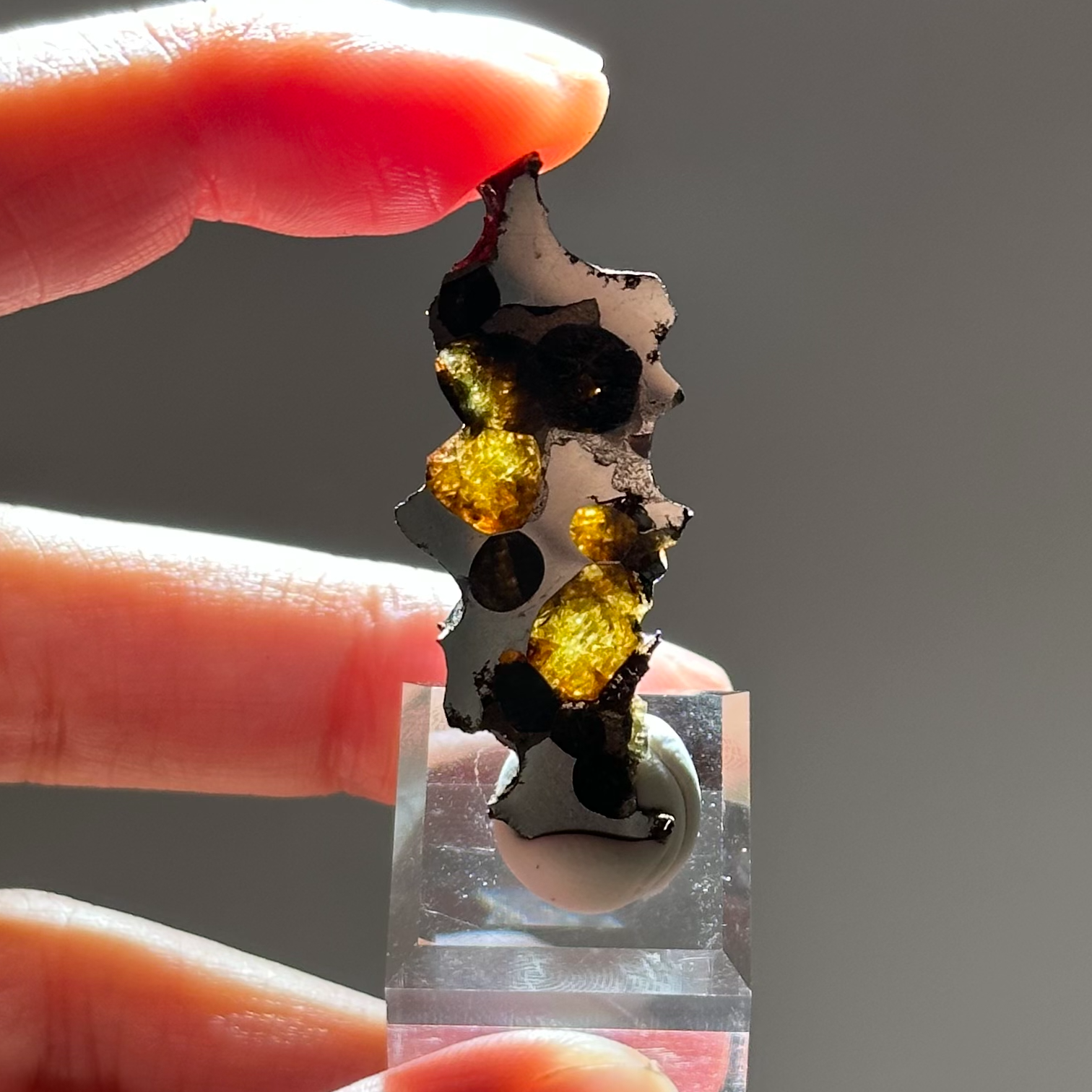 橄欖鐵隕石 - Pallasite Meteorite｜PA05