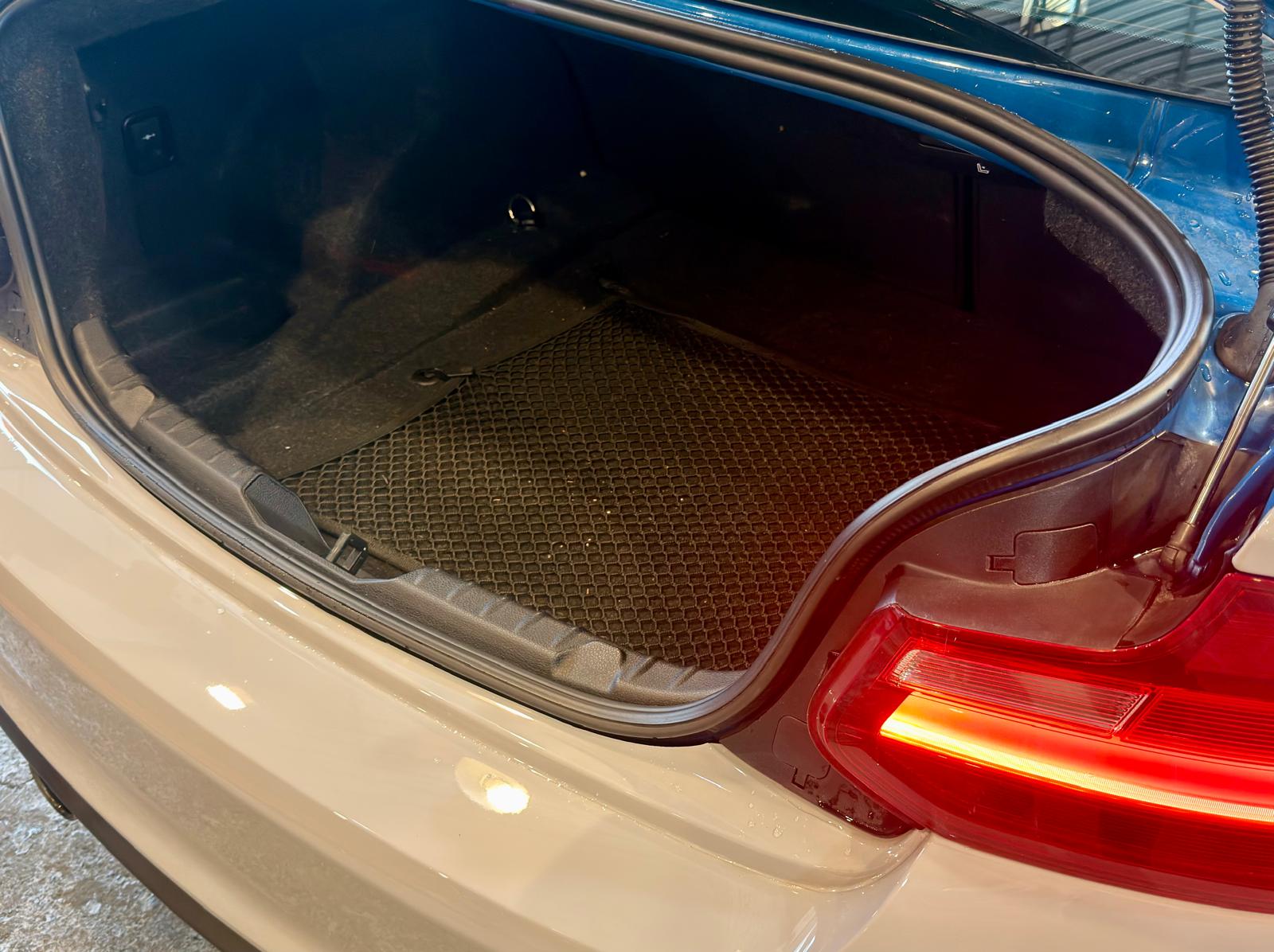 B.M.W. M2 Coupé (F87) 2016