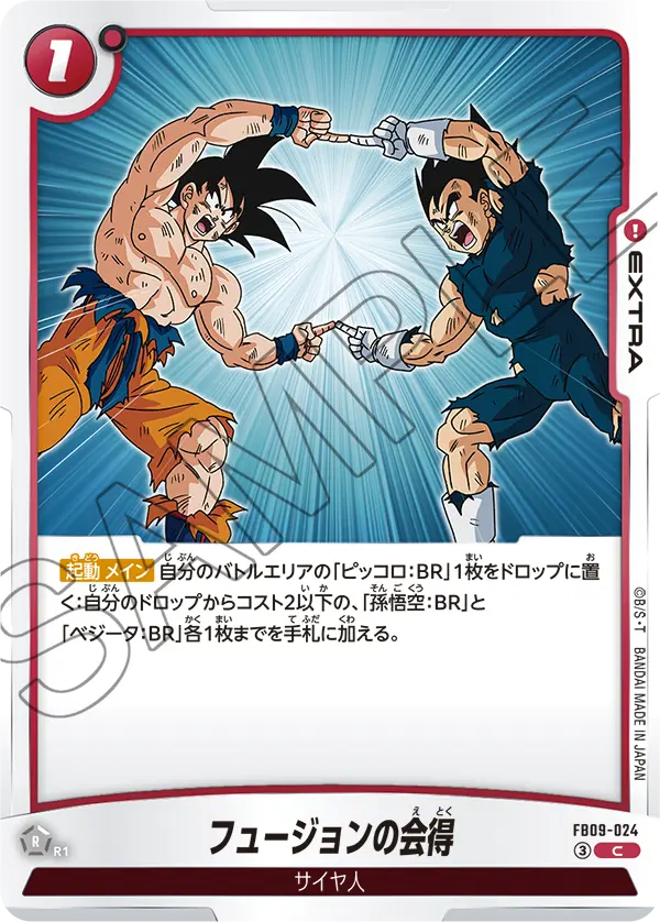 FB09-024 C フュージョンの会得