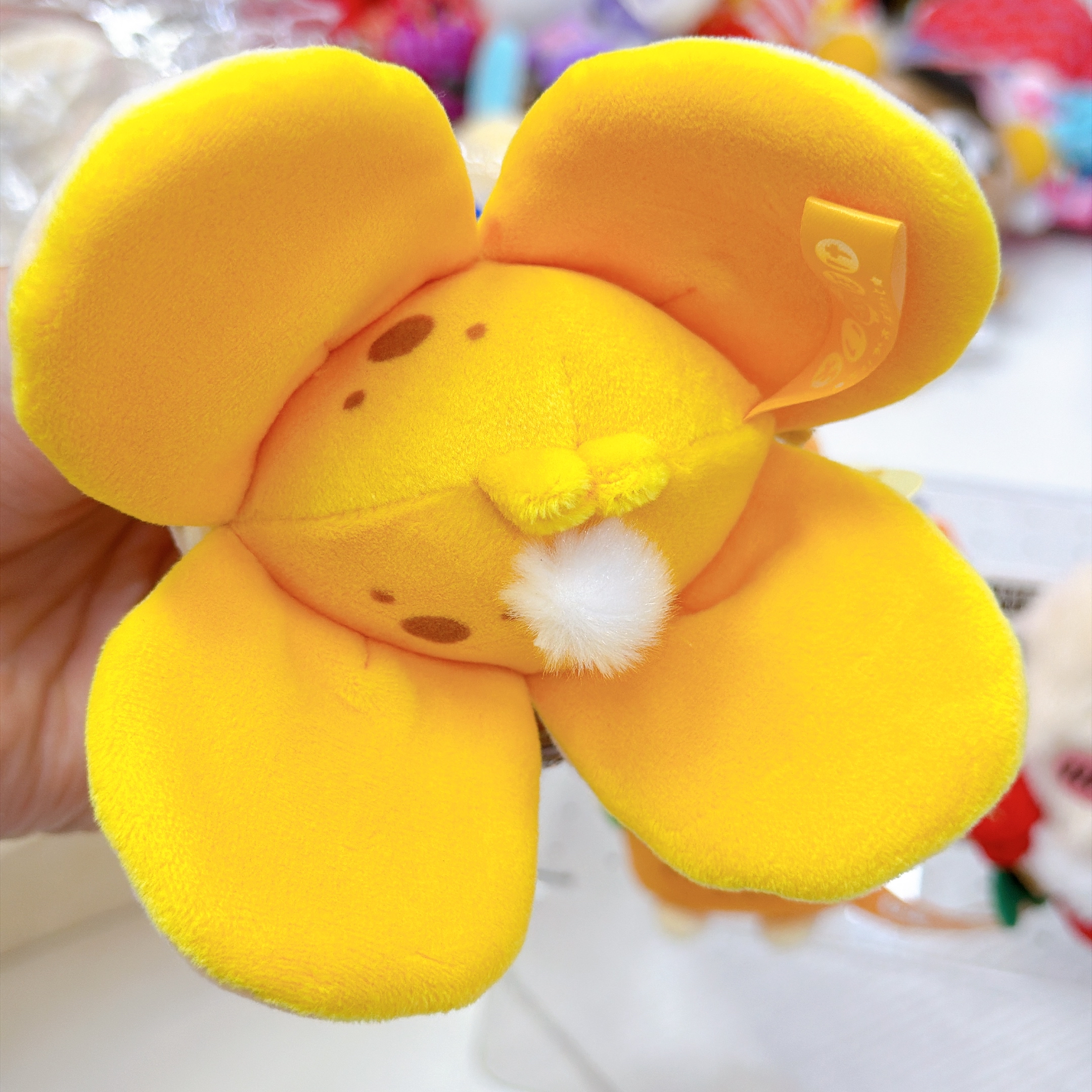 日本直送chiikawa 扮水果系列新款公仔掛飾