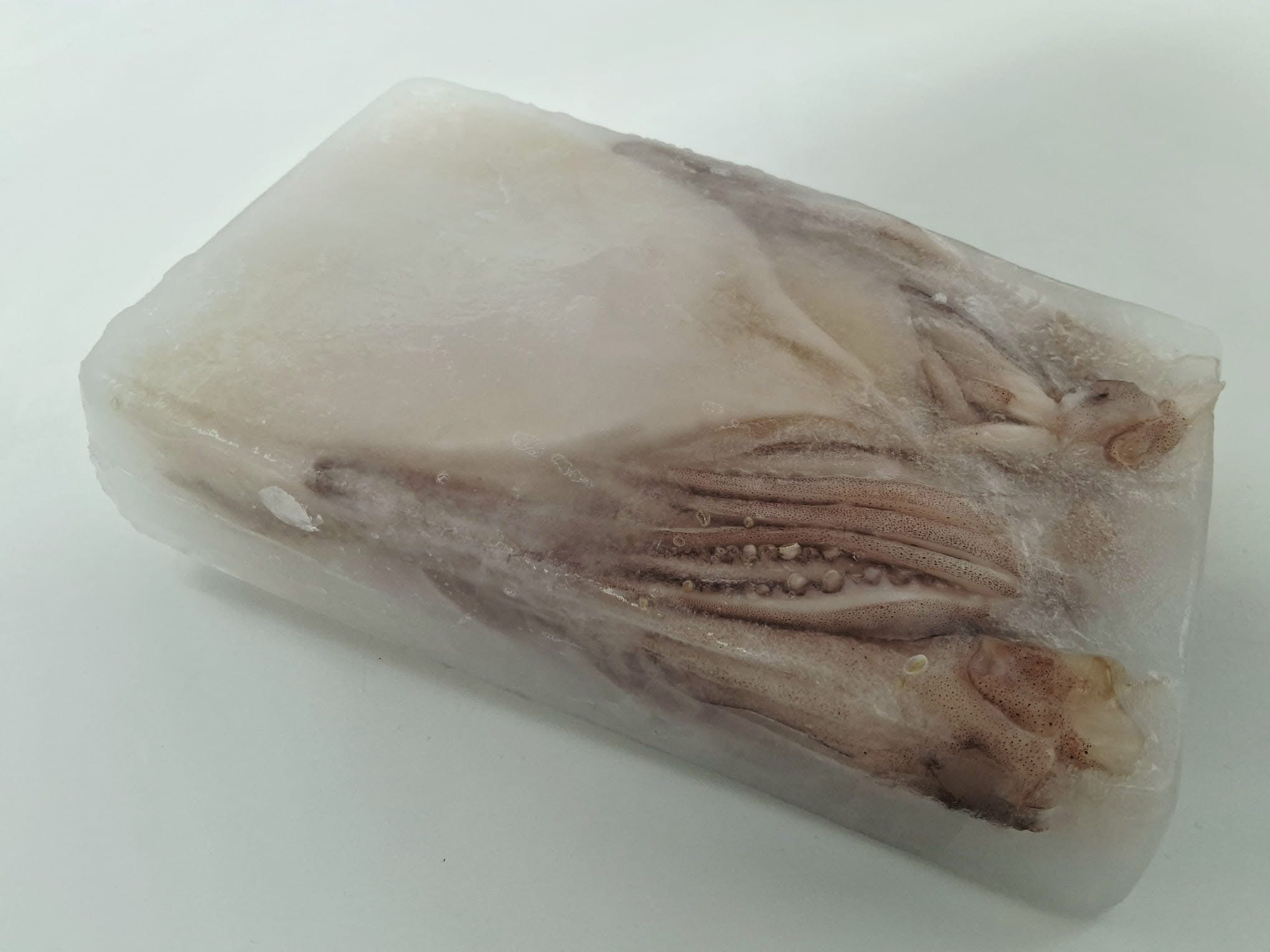 21/25 原隻去皮先魷 （約2KG)