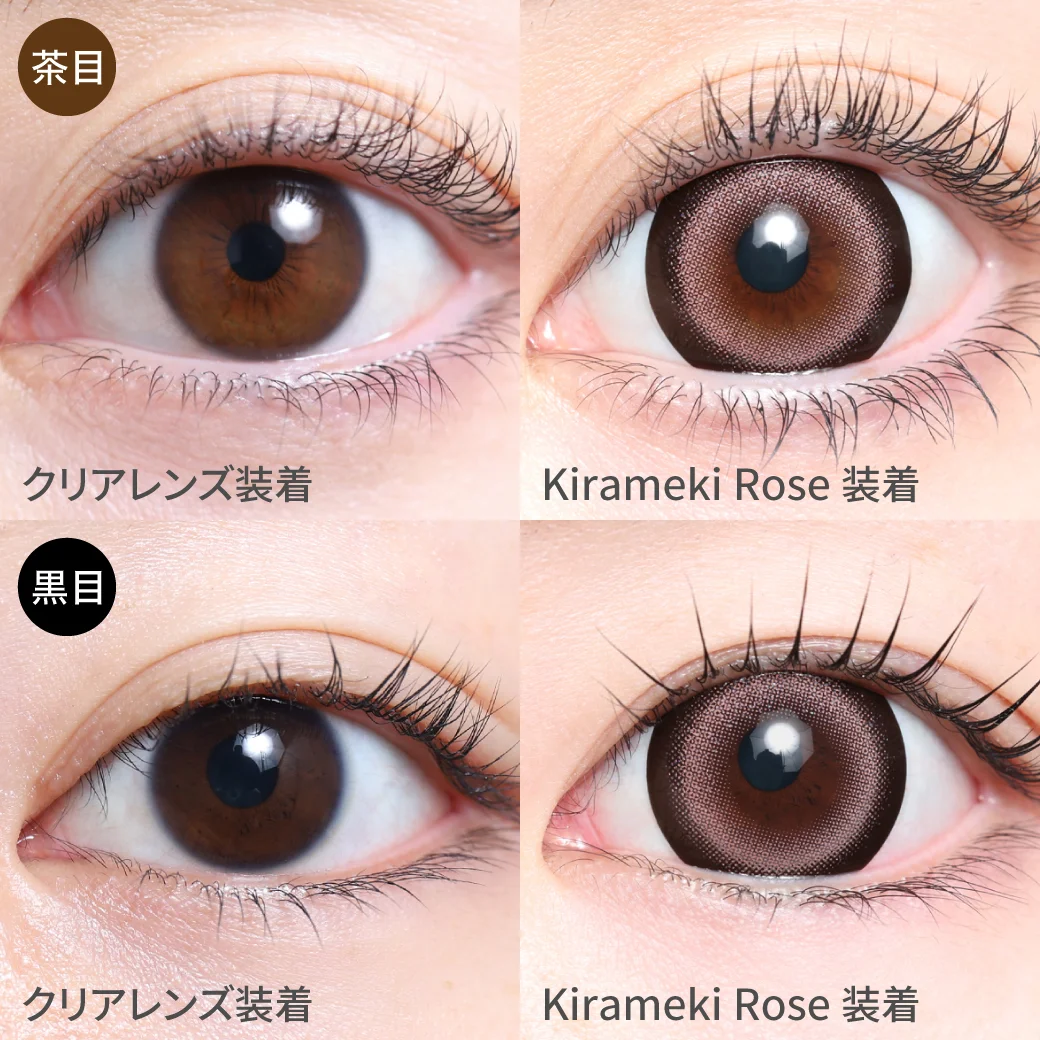 TeAmo - Kirameki Rose (1day/10P)