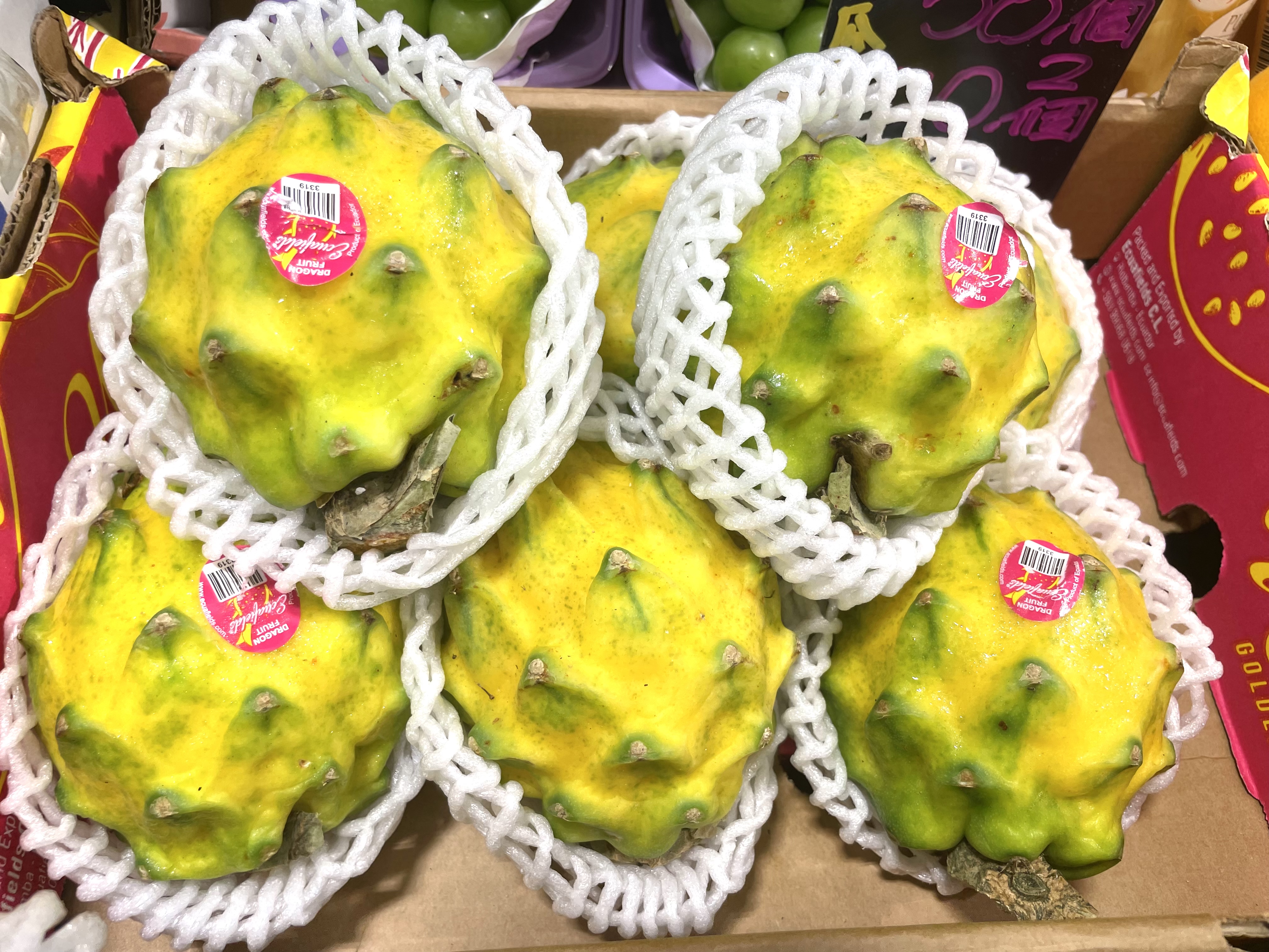厄瓜多爾【健康麒麟果】$75/1個