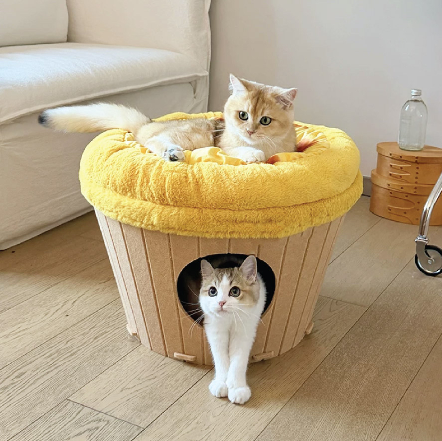 🇭🇰雙層蛋撻暖暖貓咪窩🐈