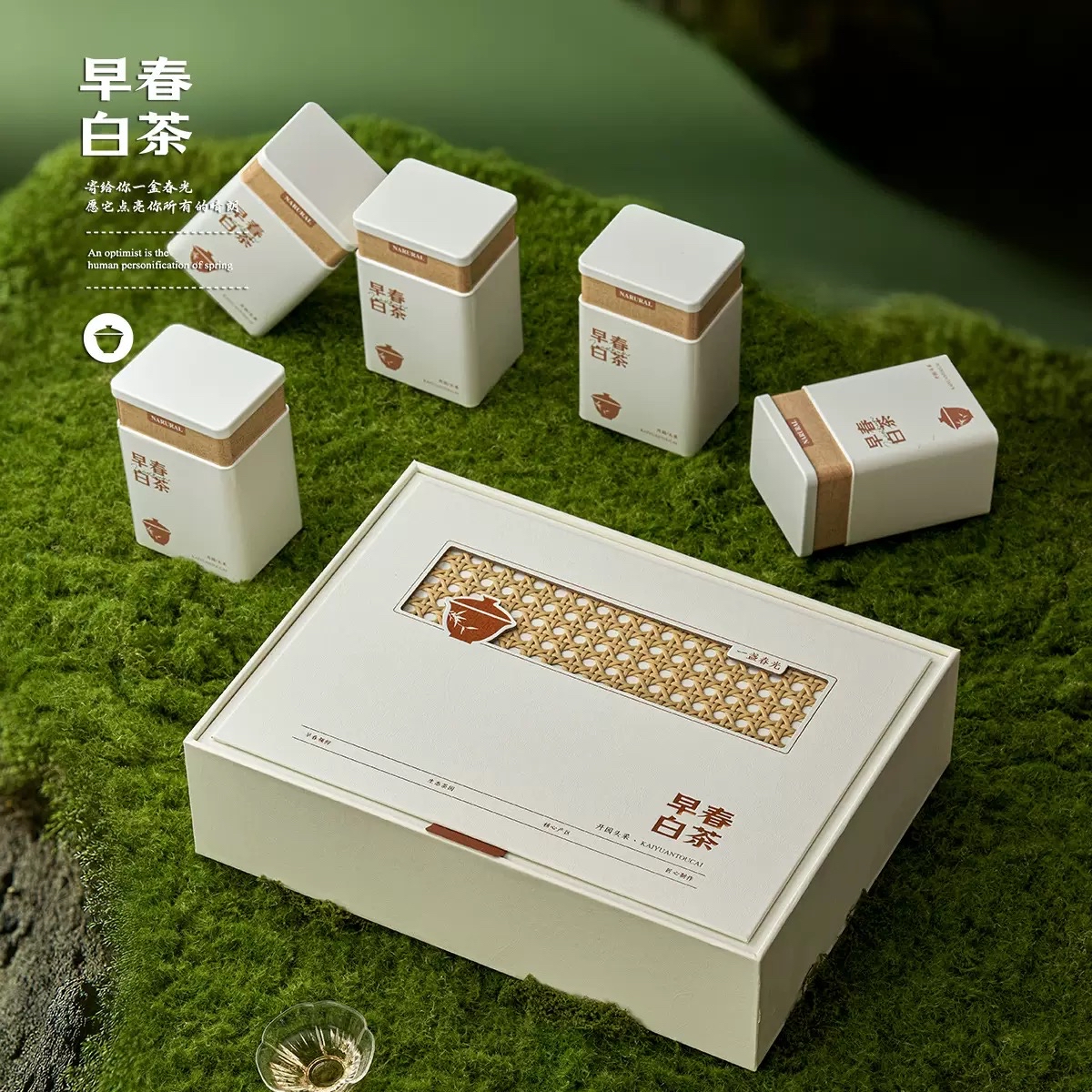 【春日茶园】五大罐古树月光白茶送礼自饮两相宜健康实用好礼推荐伴手礼爱茶人必备口粮茶健康茶叶礼盒