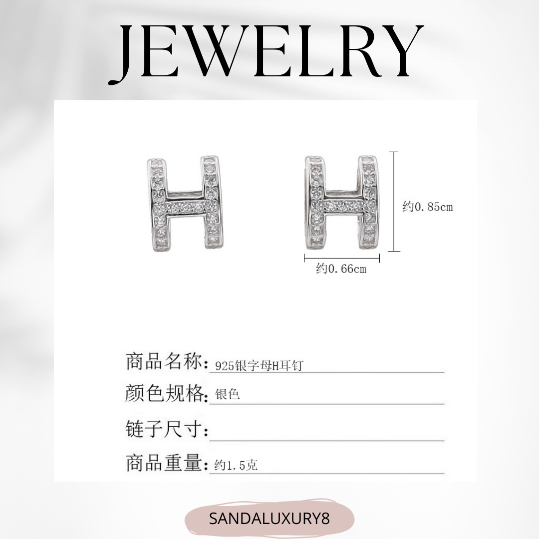 H Silver Earrings 