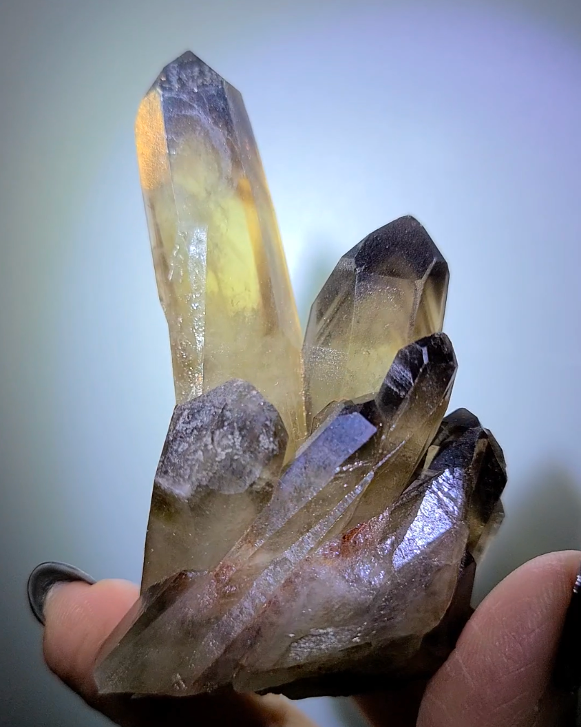 Smoky citrine cluster with phantom smoky pyramids - C96