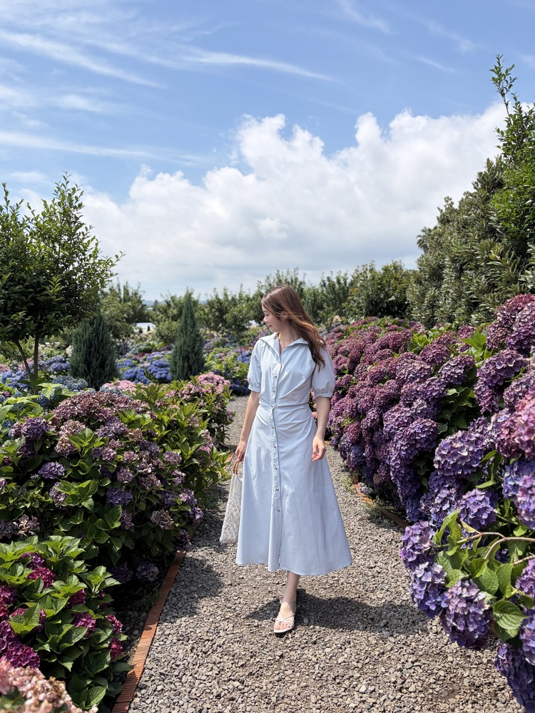 Lena Contoured Waist Dress (Pastel Blue)