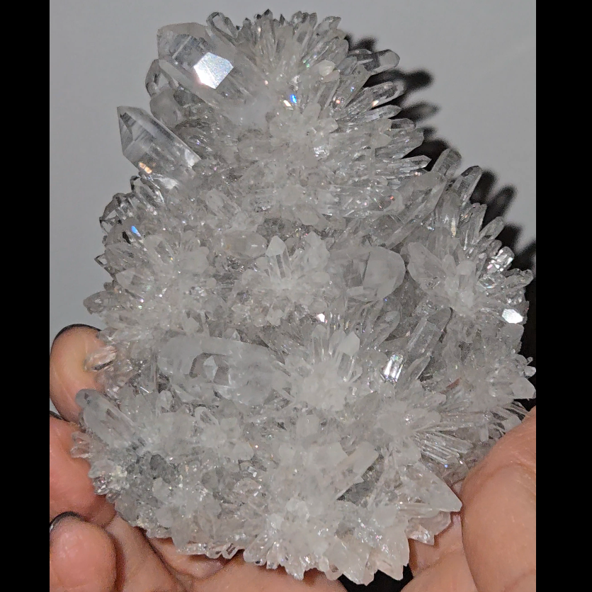 Chrysanthemum needle quartz with rainbows everywhere - CQ161
