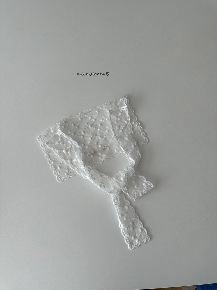 🇰🇷mienbloomb cape