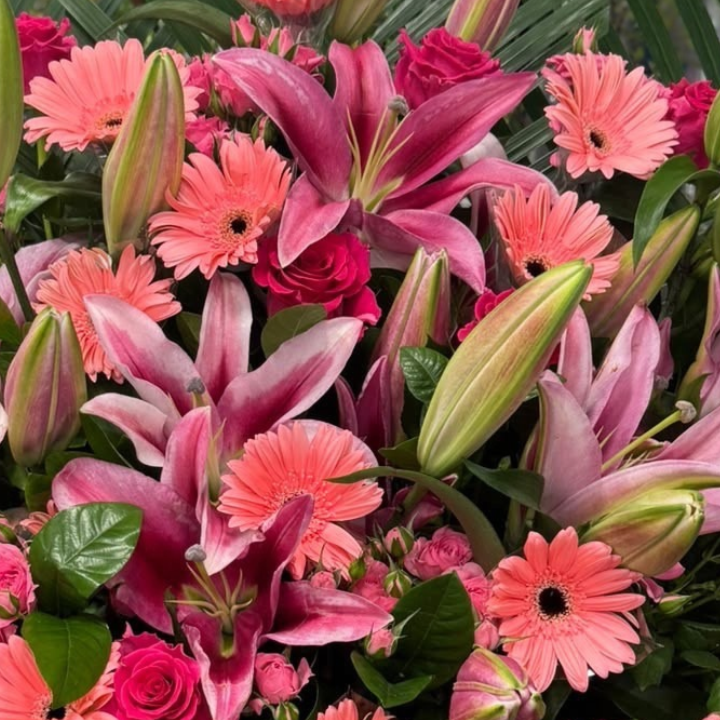 🎉【開張花籃】粉百合非洲菊開業賀籃