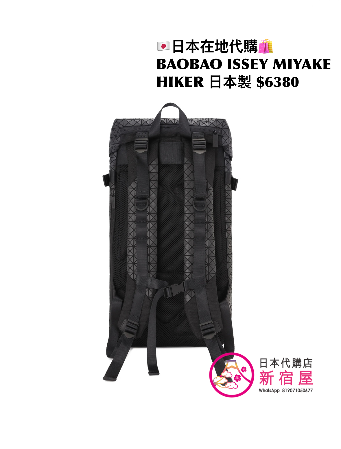 BAOBAO ISSEY MIYAKE HIKER