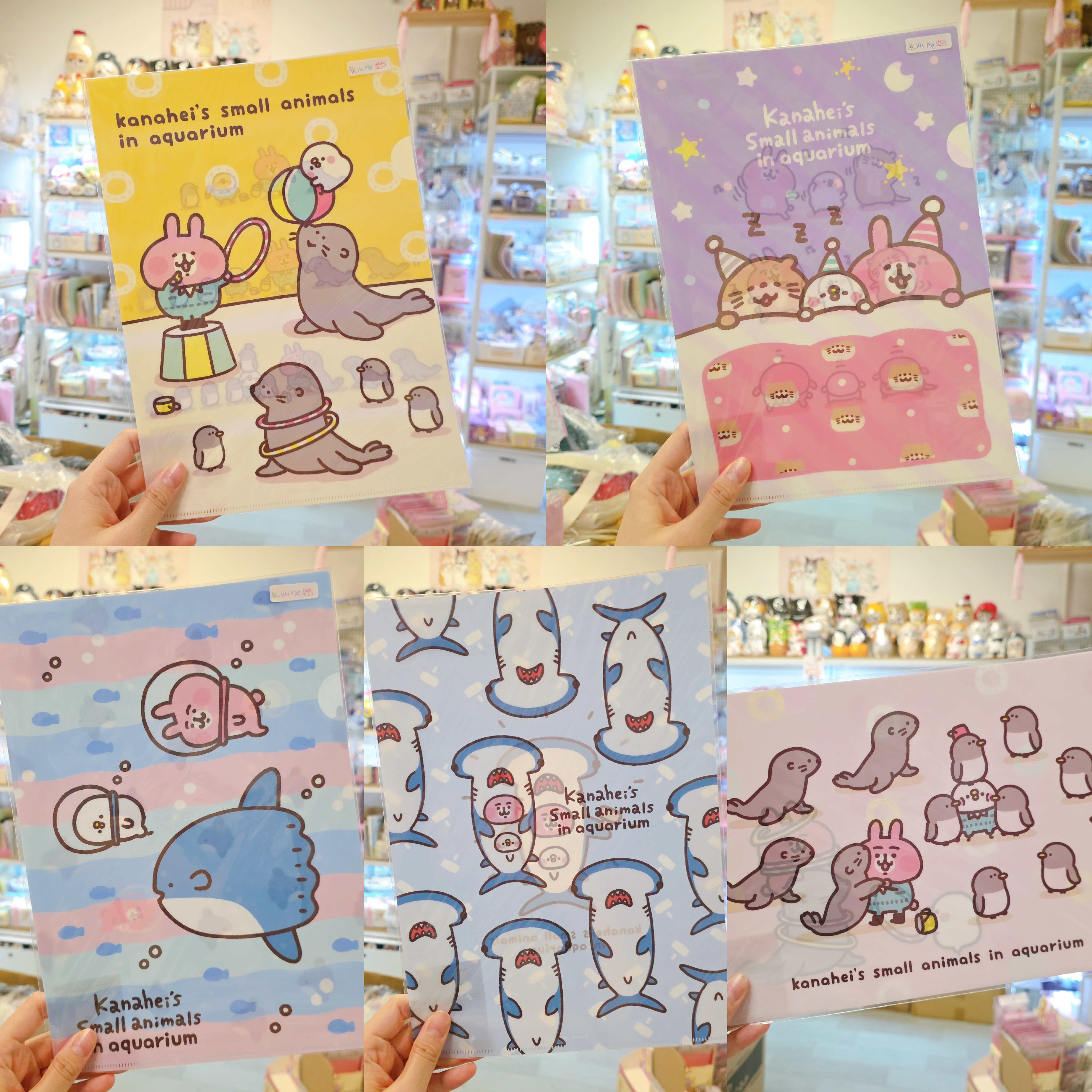 日本 kanahei 水族館限定 A4 File