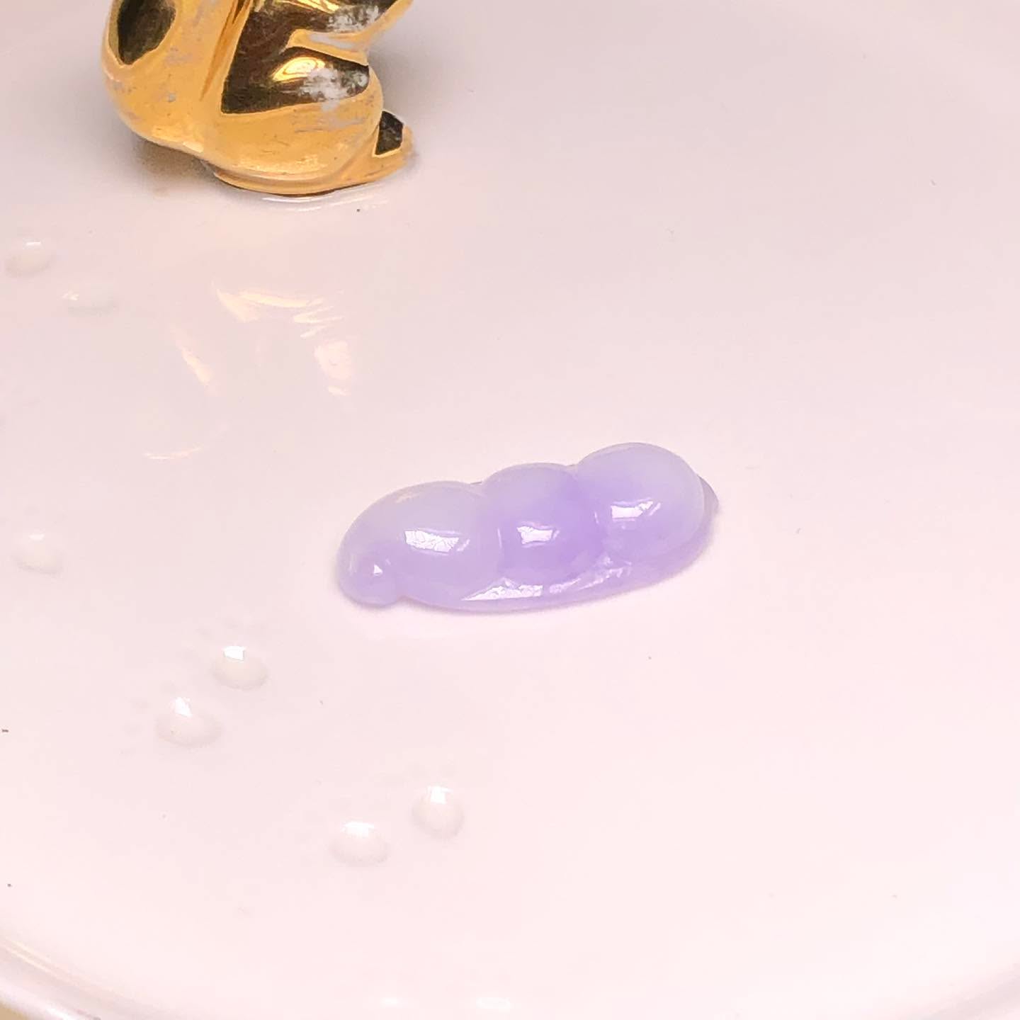 B08757 紫羅蘭福豆