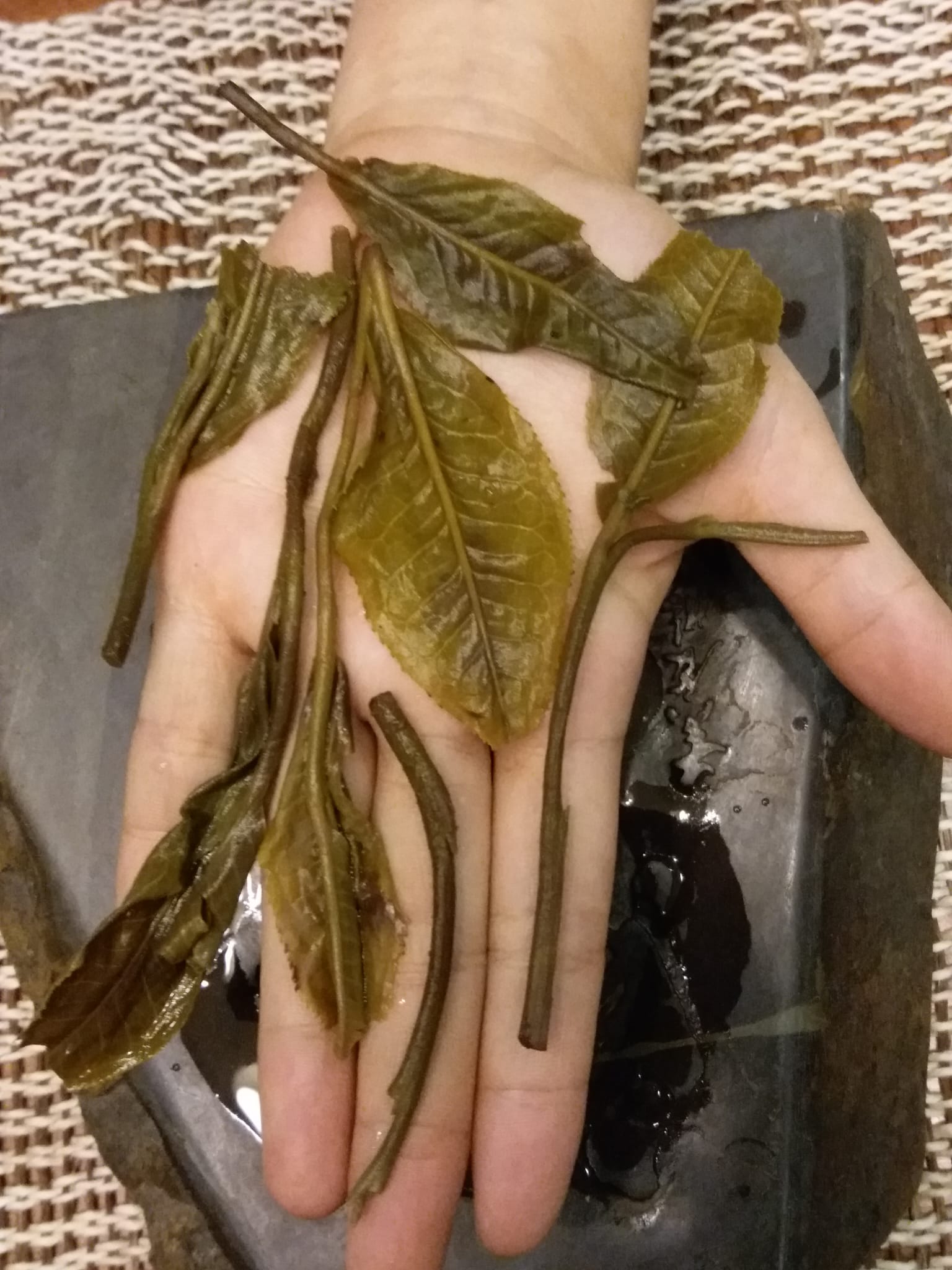 2016年 蠻磚山（龍珠，錫紙獨立包裝）- 10粒