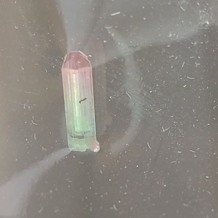 Bi-color tourmaline specimen from Afghanistan - TR48