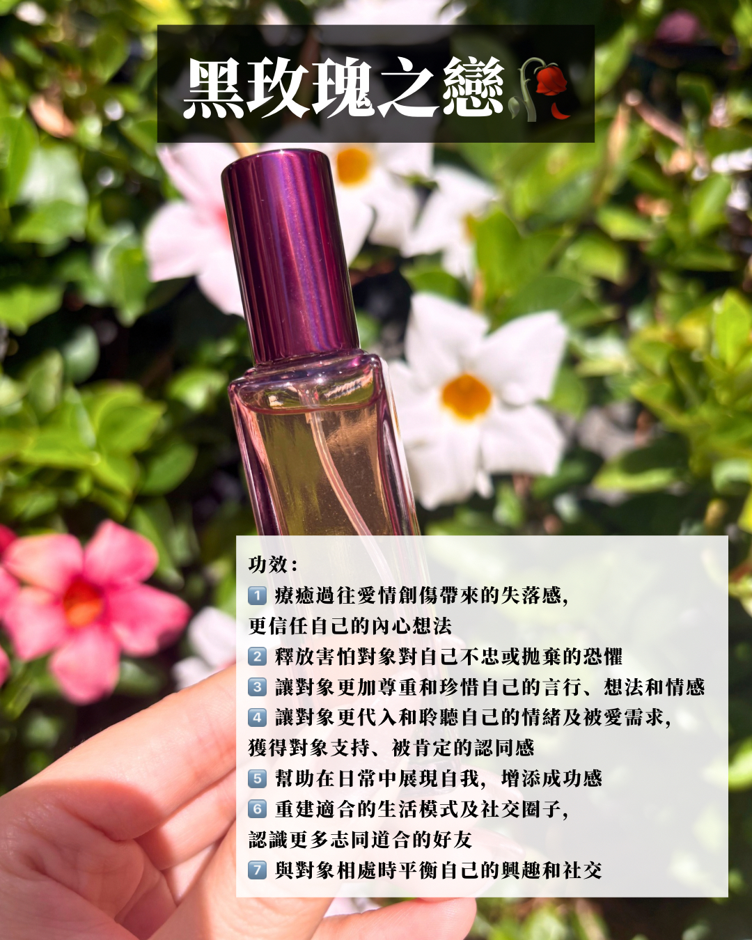 黑玫瑰之戀🥀 魔法噴霧