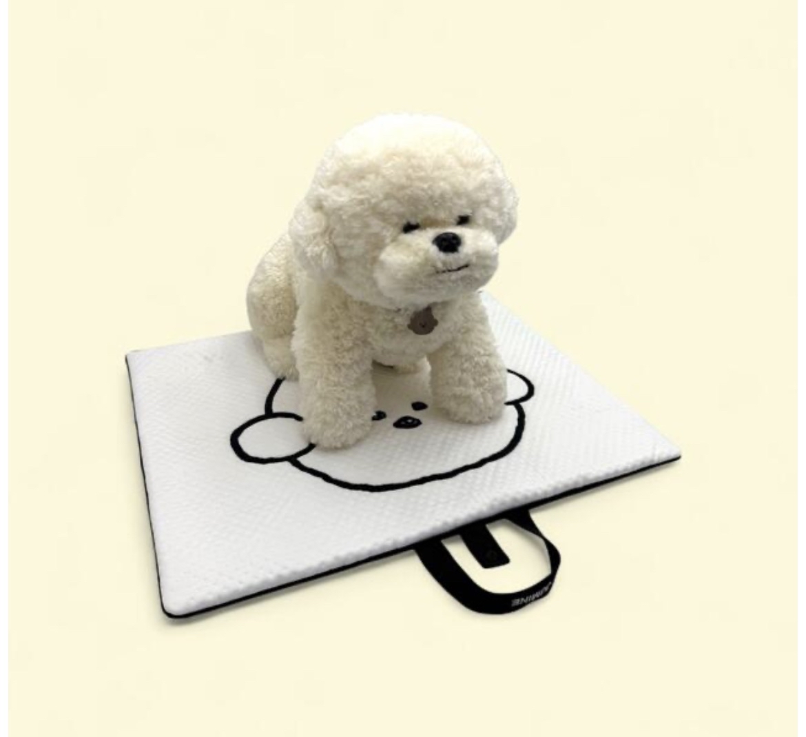 Monggu DURARON 摺疊式涼感散步墊