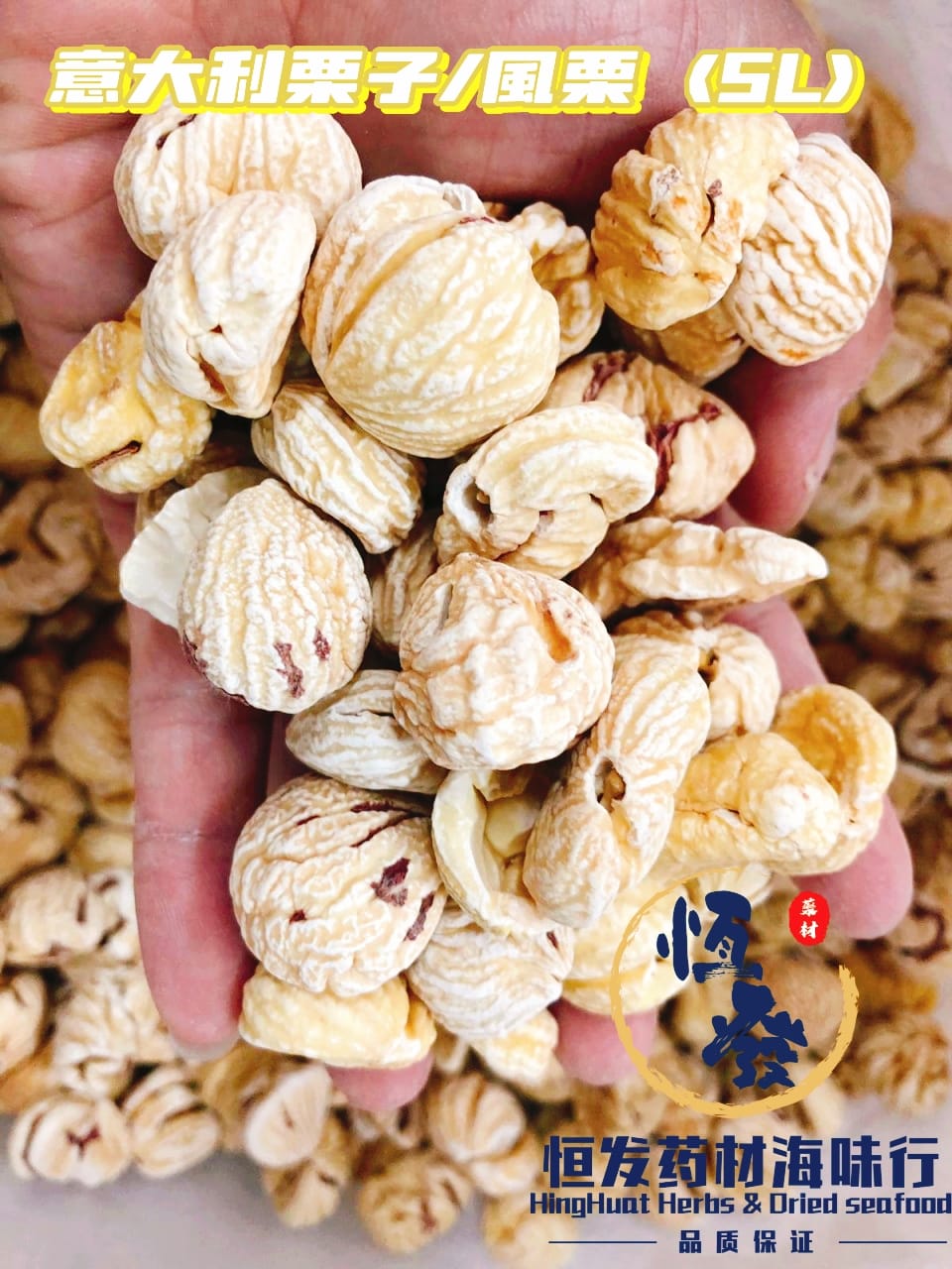 恒发║🇮🇹意大利栗子/風栗 Italy Chestnut (5L)保证大颗