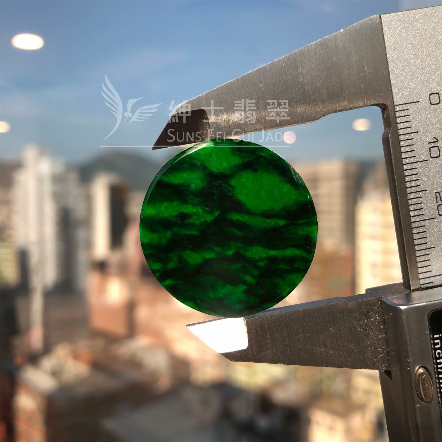 豹紋花青圓牌 - 3