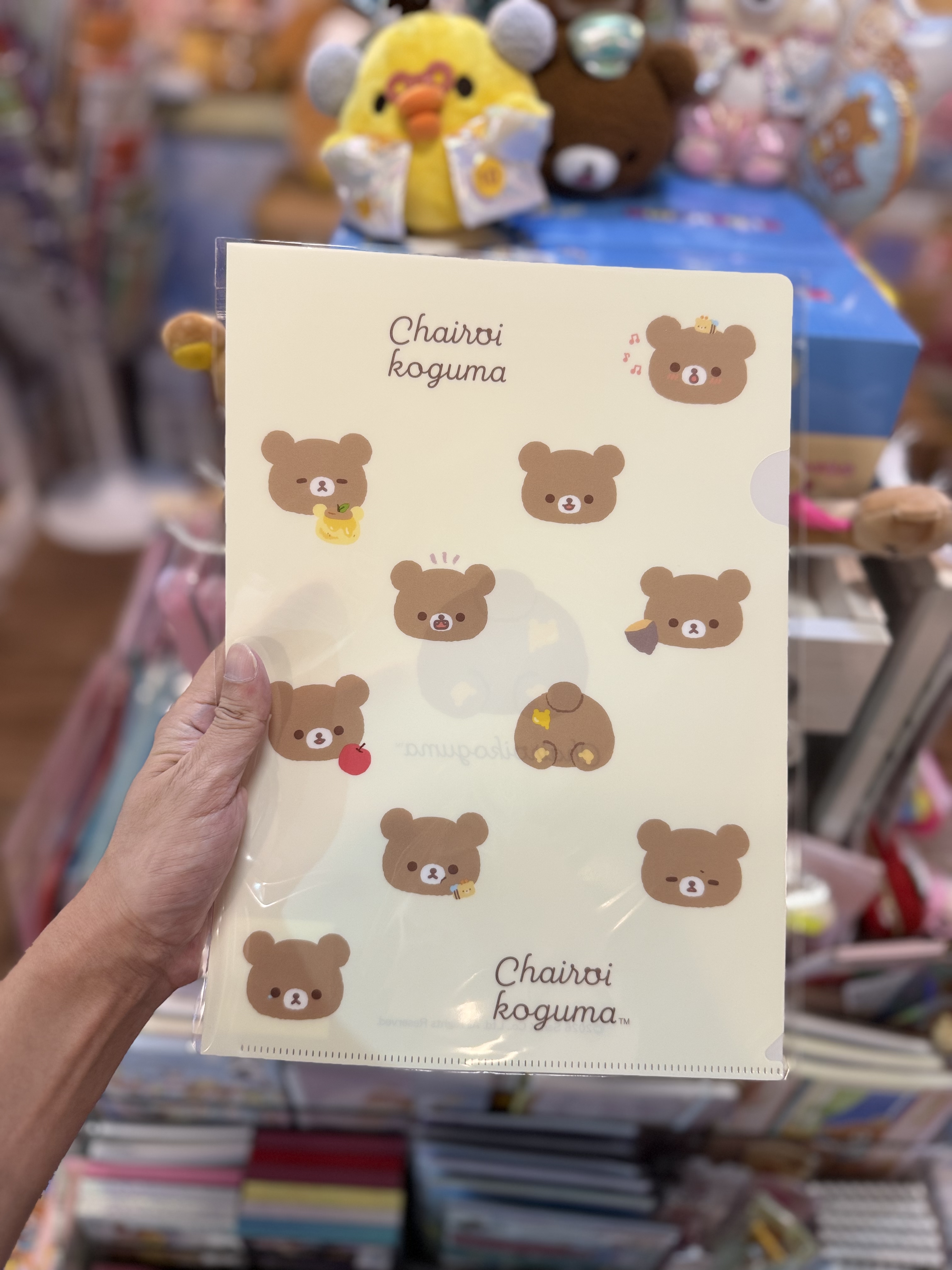 《現貨》全新日本專店限定小熊10週年 小熊A4 file