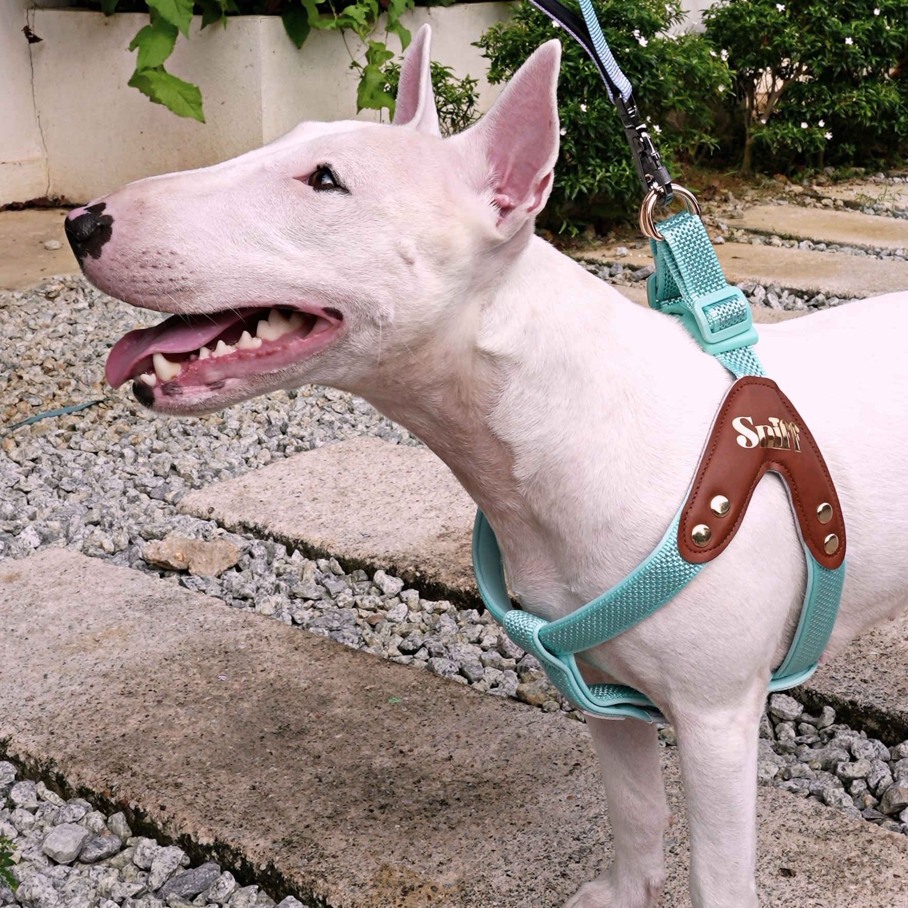 Step-In Harness - Baby’s Breathe - Mist Pine