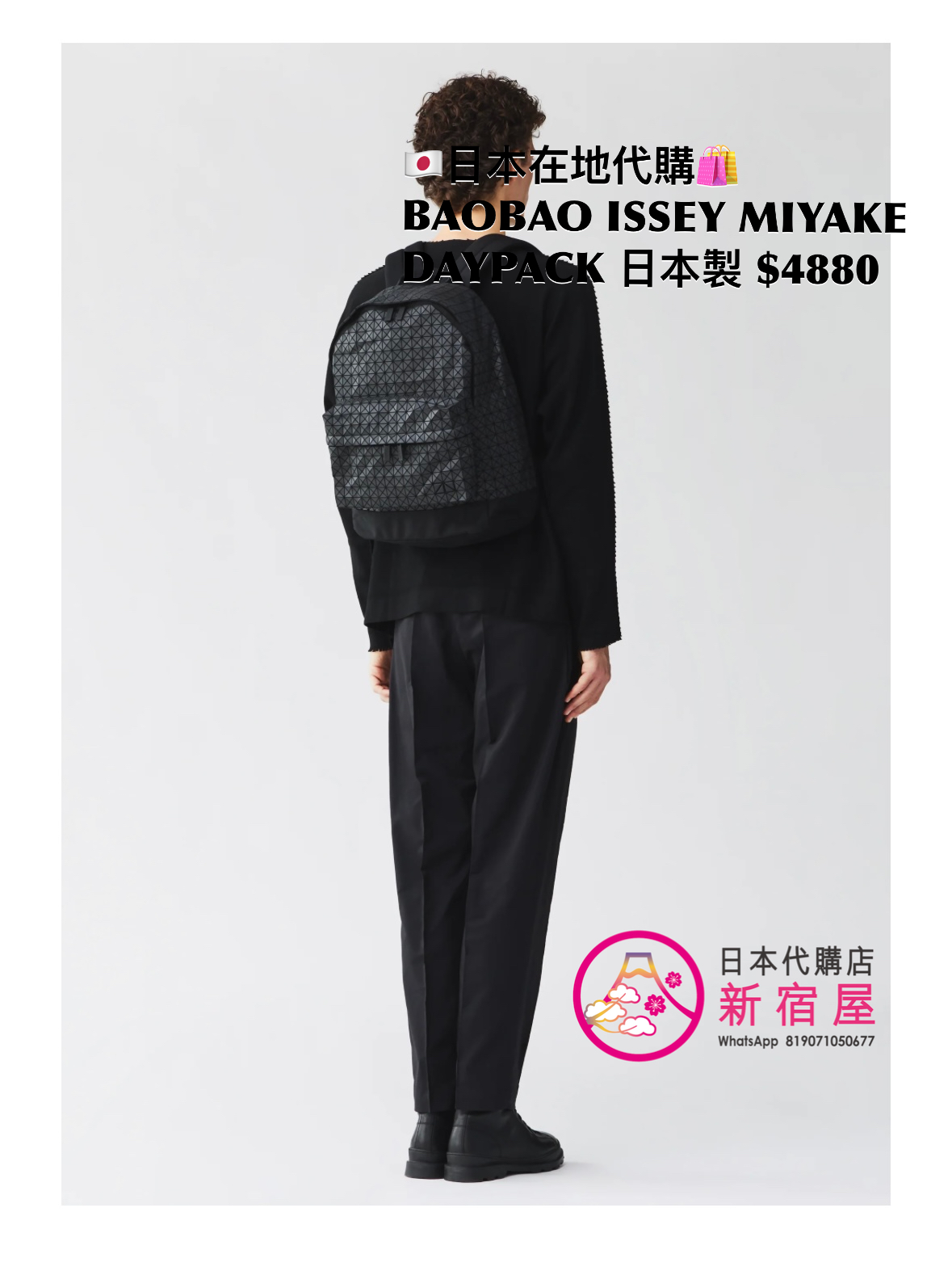BAOBAO ISSEY MIYAKE DAYPACK