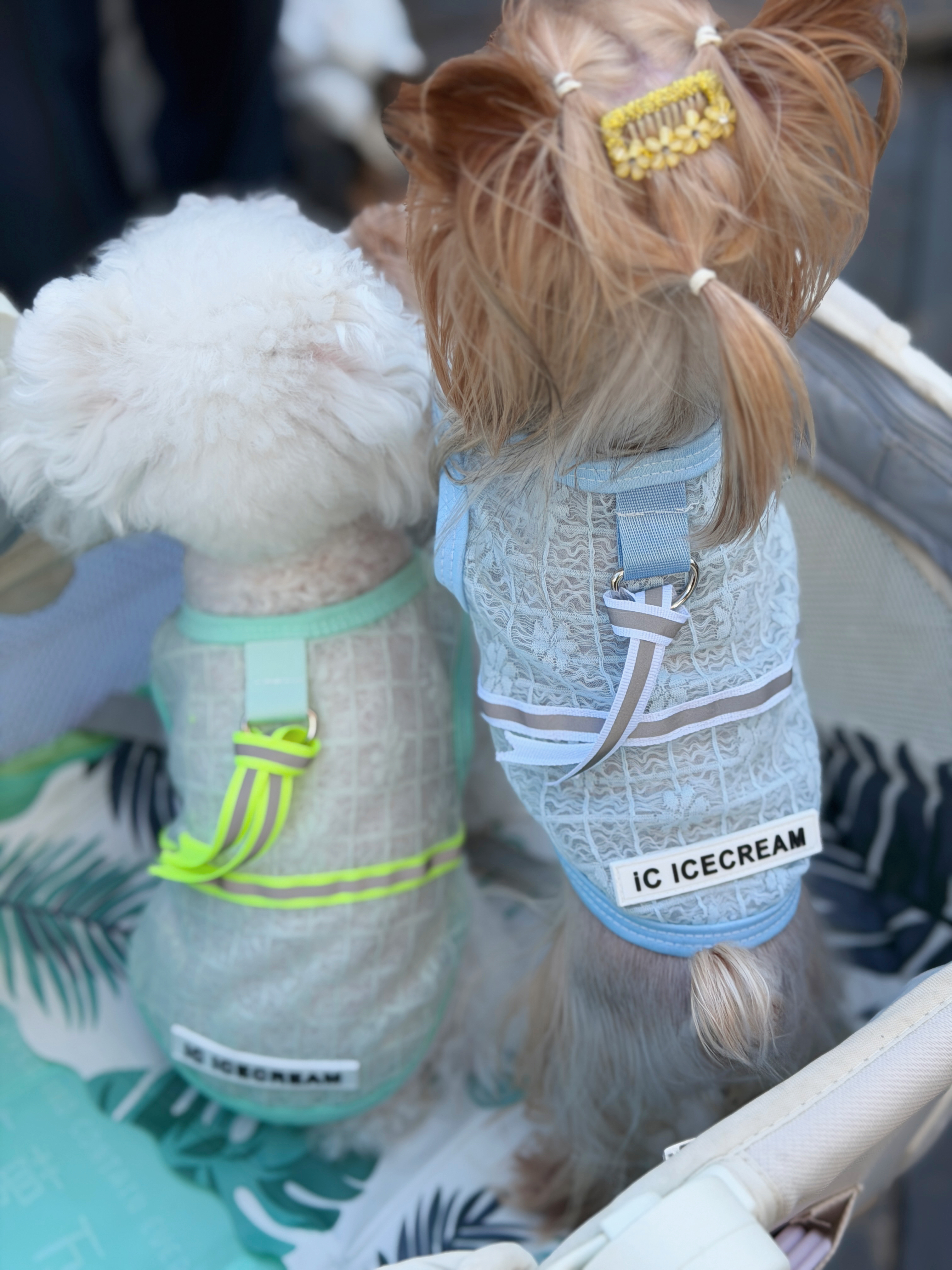 Mint Breeze Tank