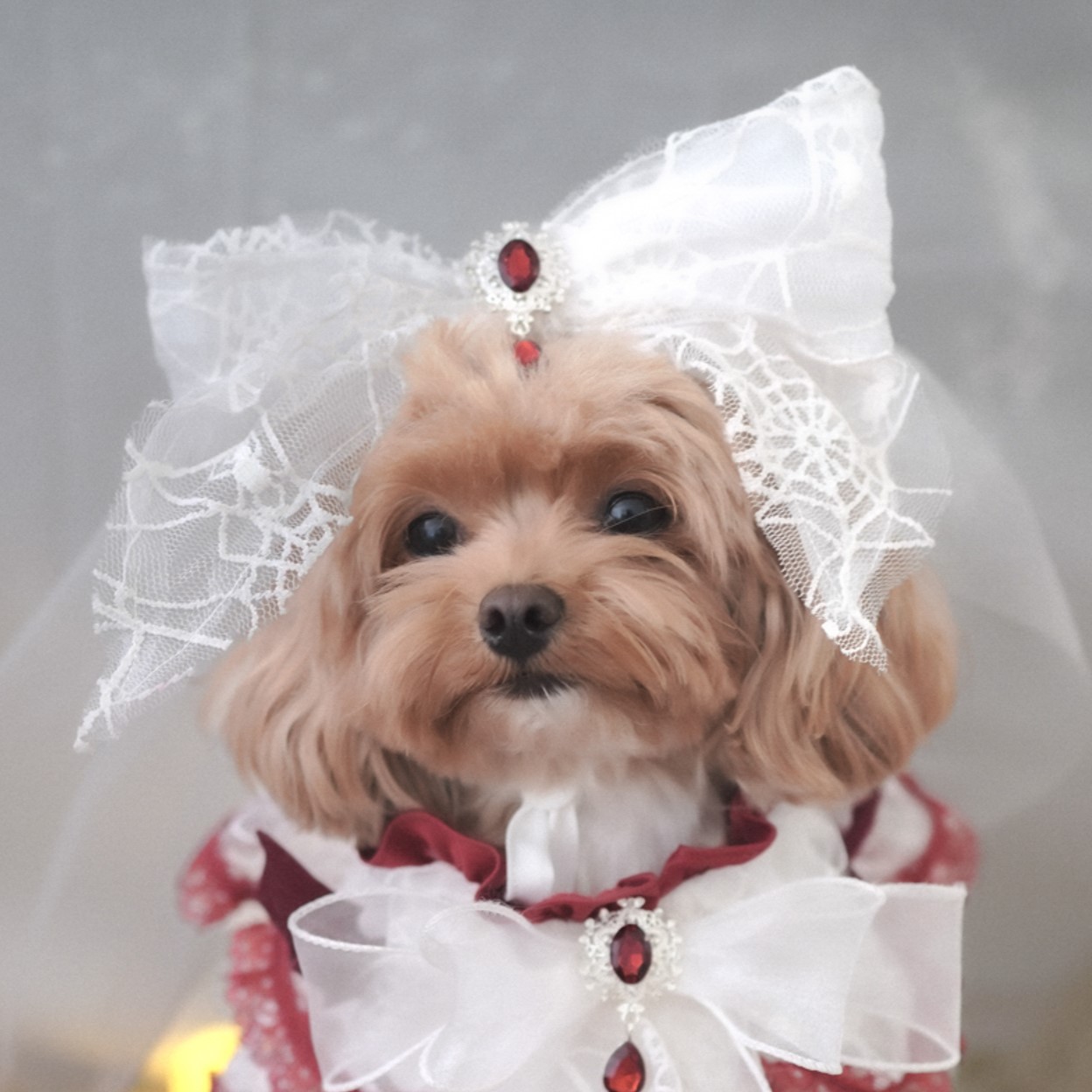 🎃Haunted Castle – Haunted Castle Bridal Veil