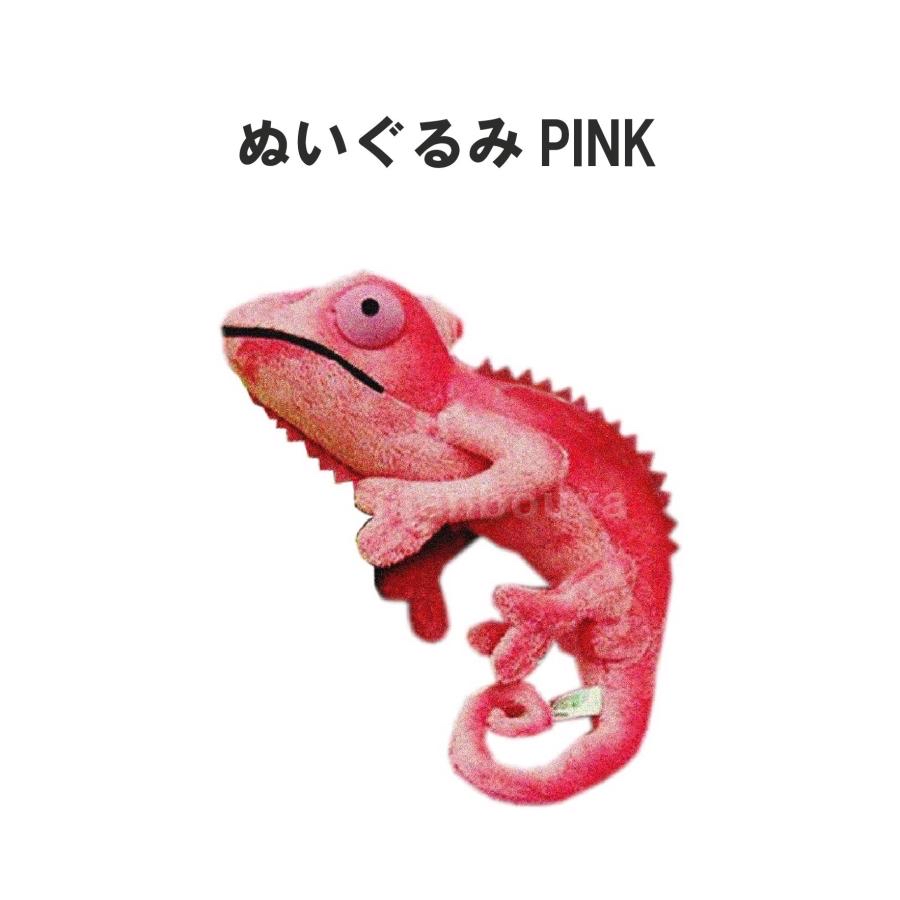 粉色變色龍