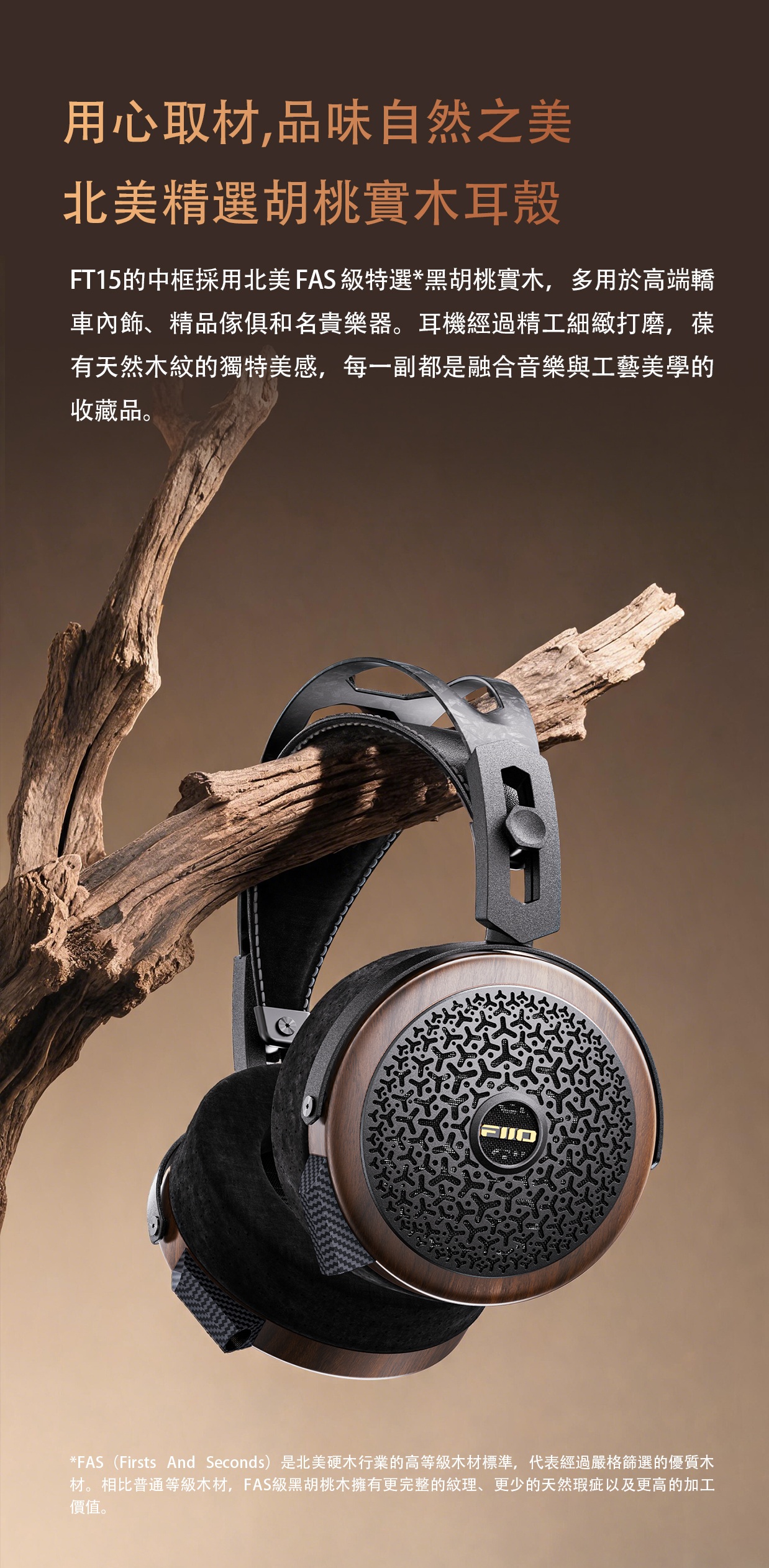 金剛石納米級振膜平板頭戴耳機 ~ FiiO FT15