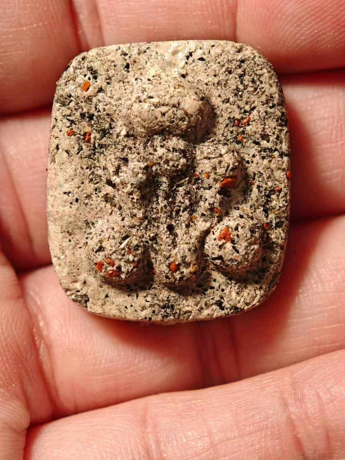 龍婆禪南 2568 鬼兵必打金銀銅三符片