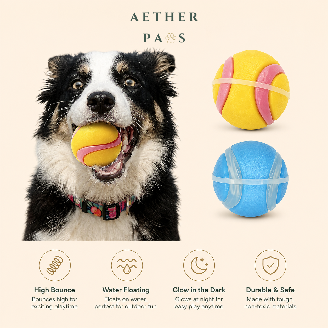 Jump Duo Fetch Ball