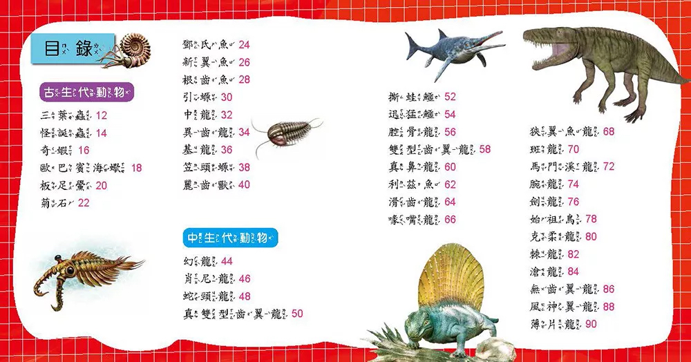 🔸預購貨品🔸史前動物小百科