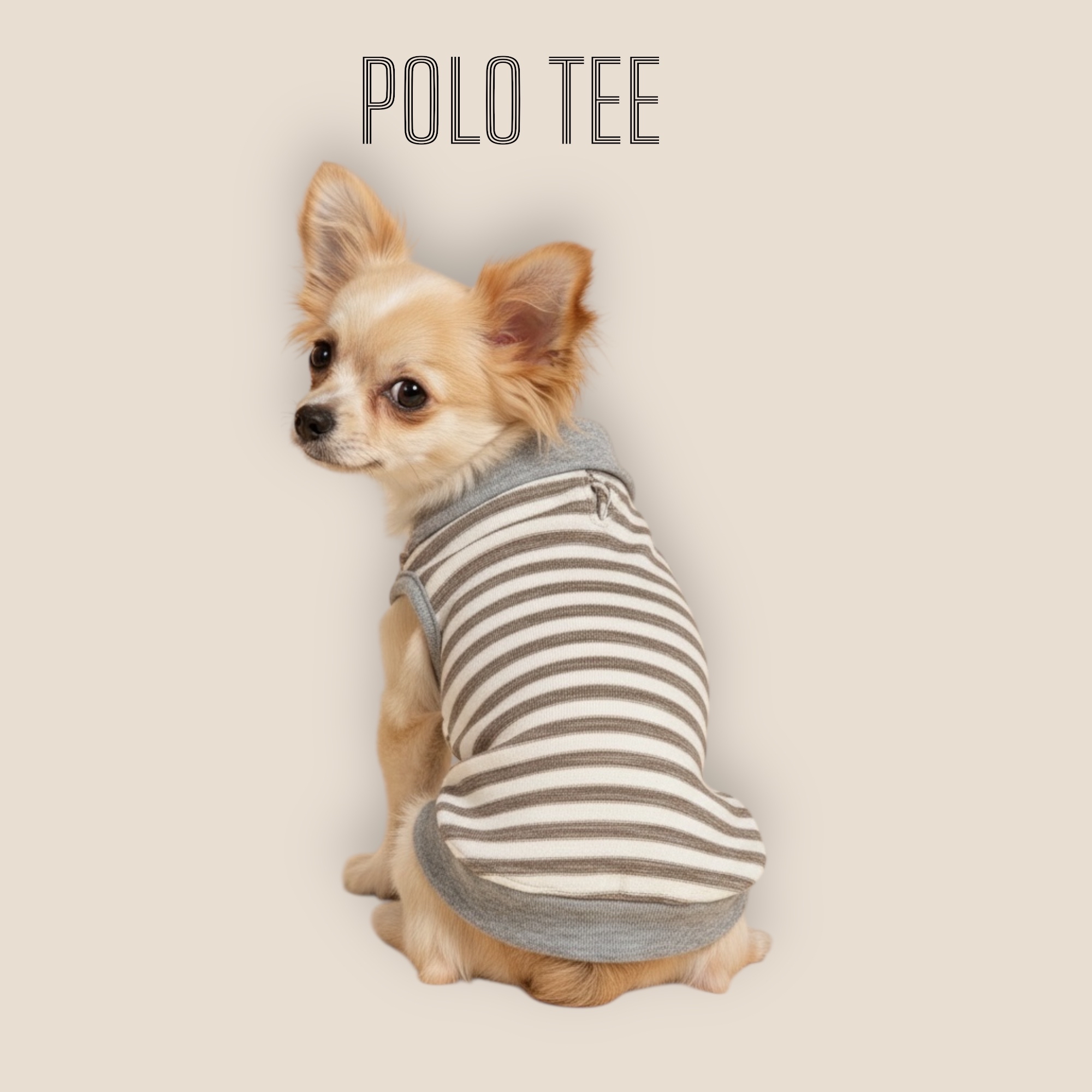 S553GY 條子POLO TEE-灰色 Grey