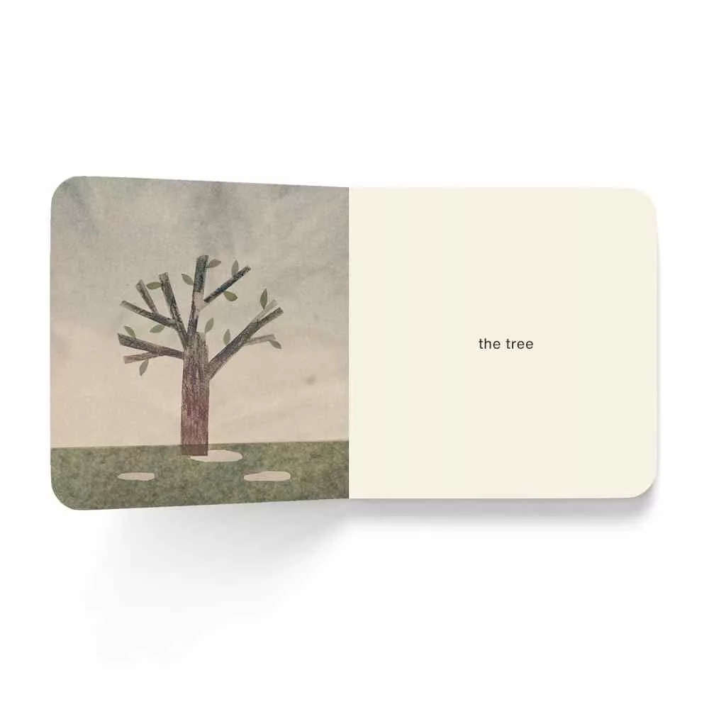 Now I See Season Series (4本) (Jon Klassen)
